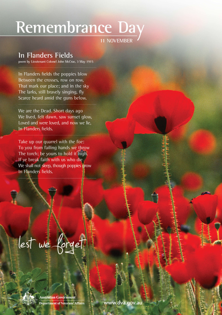 Flanders Fields Poem
