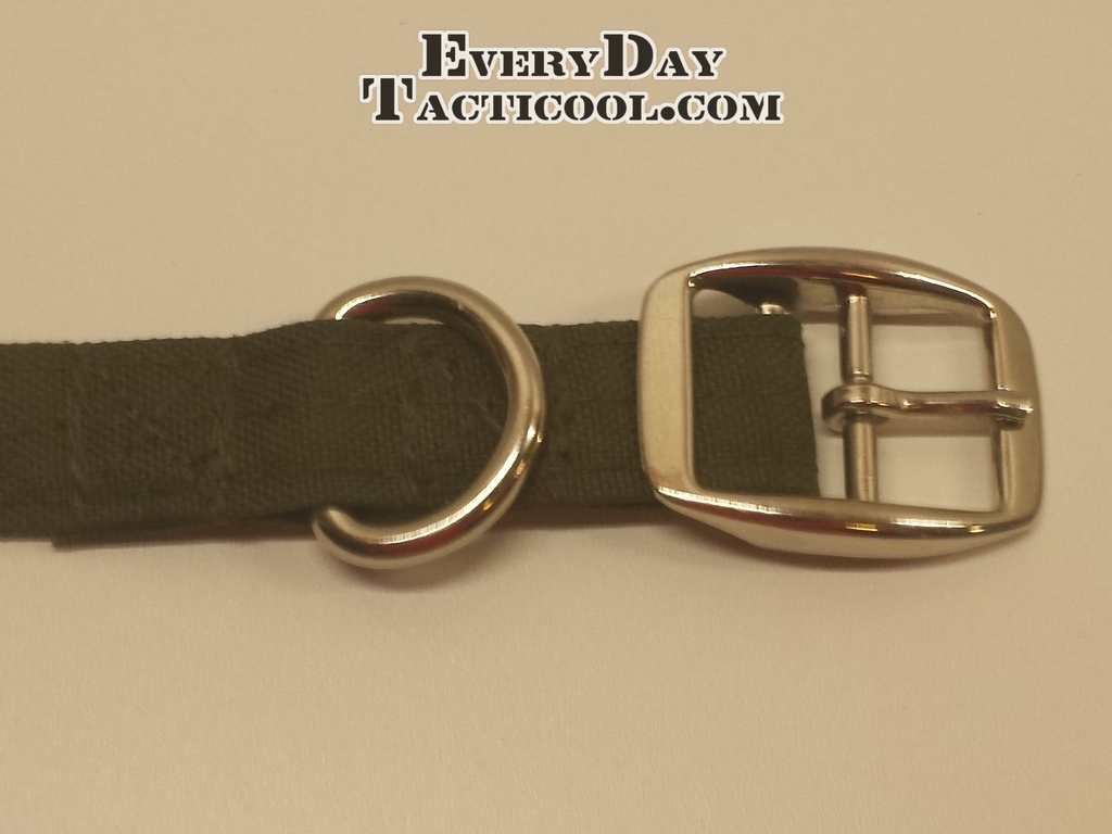 CP Gear Dog Collar – Everyday Tacticool